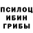 Галлюциногенные грибы Psilocybine cubensis Gleb Sa
