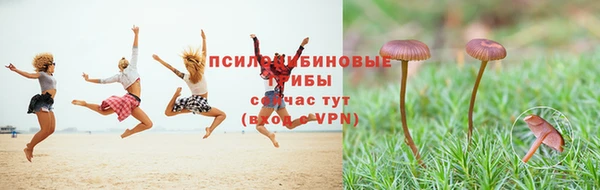 метадон Бородино