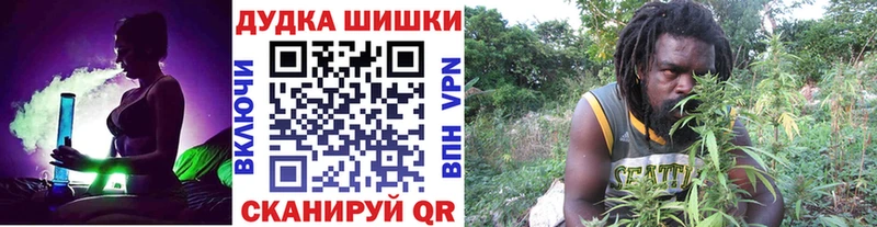 Купить закладки  Луховицы  Бошки марихуана конопля 
